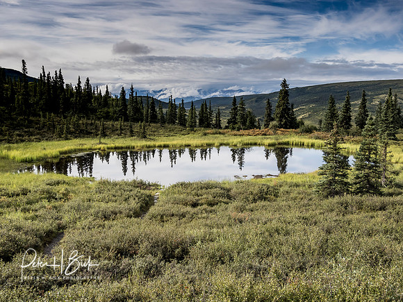 Alaska 2019 4521