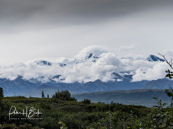 Alaska 2019 4595