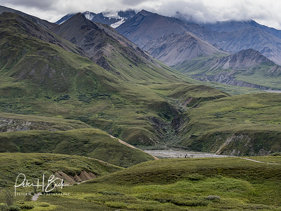 Alaska 2019 4927
