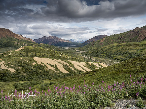 Alaska 2019 4998