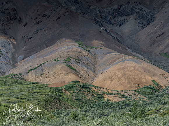 Alaska 2019 5002