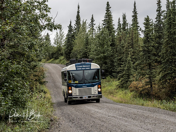 Alaska 2019 5333