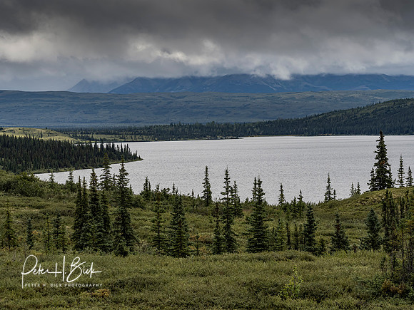 Alaska 2019 5431