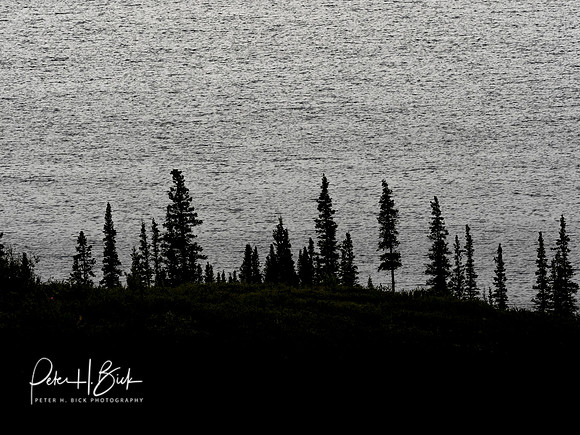Alaska 2019 5506