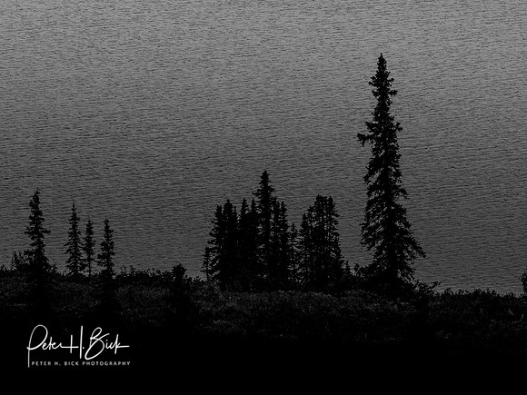 Alaska 2019 5513