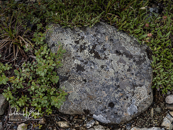 Alaska 2019 5518