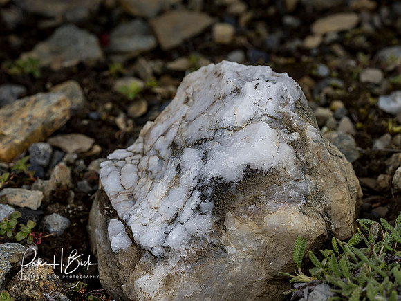 Alaska 2019 5522