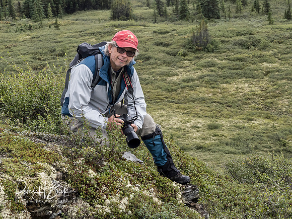 Alaska 2019 5533