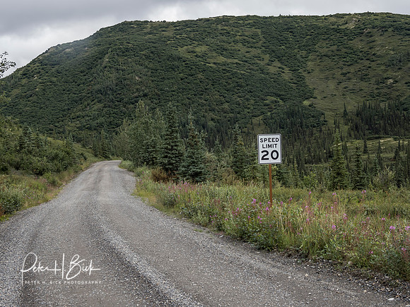 Alaska 2019 5592