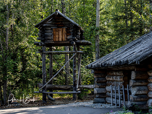 Alaska 2019 6002