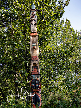 Alaska 2019 6036