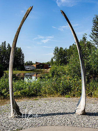 Alaska 2019 6079