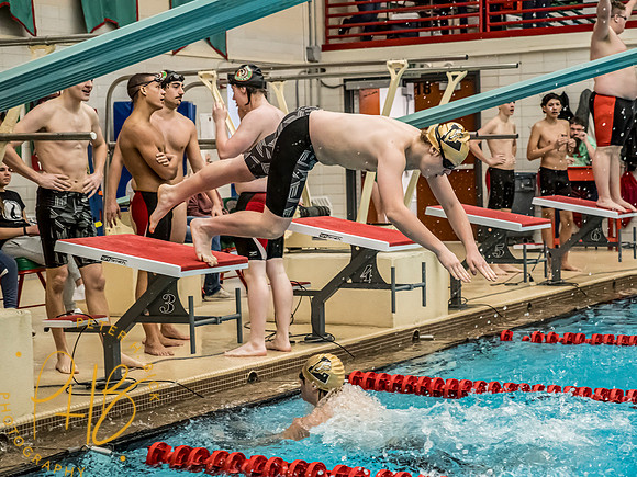 Lapel Swimming 2023-24 0548-Edit