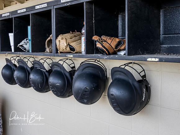 Lapel Softball 2019 1019