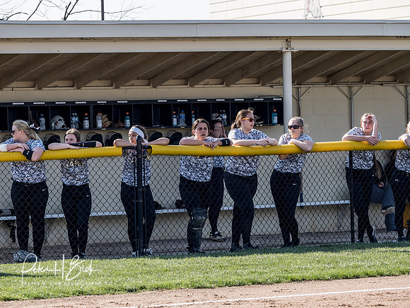 Lapel Softball 2019 0310