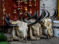 China 2017 1546