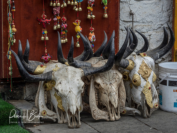 China 2017 1546