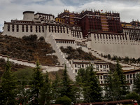 China 2017 1515