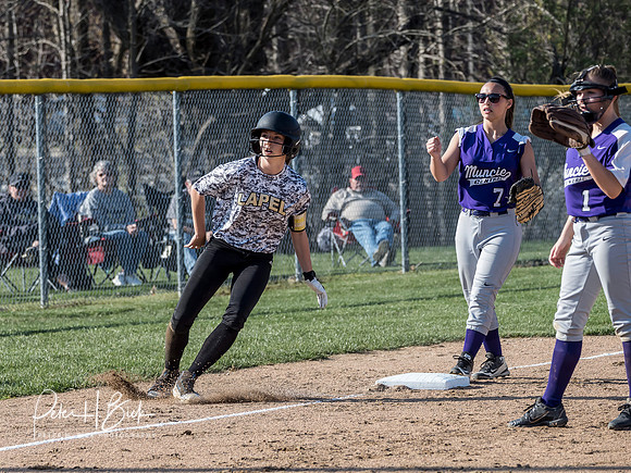 Lapel Softball 2019 0421