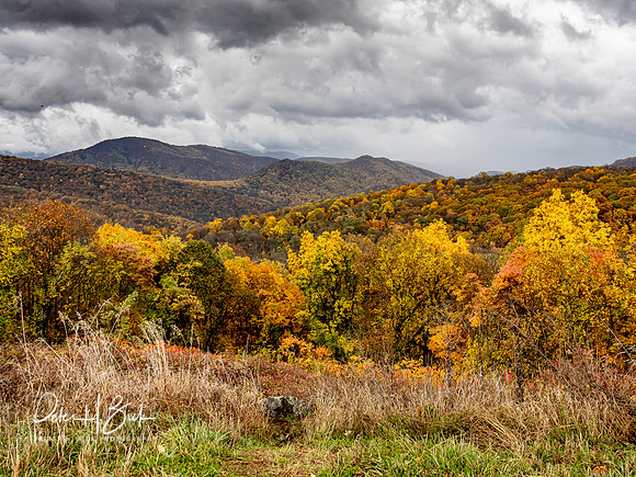 2019 Virginia Trip 0081