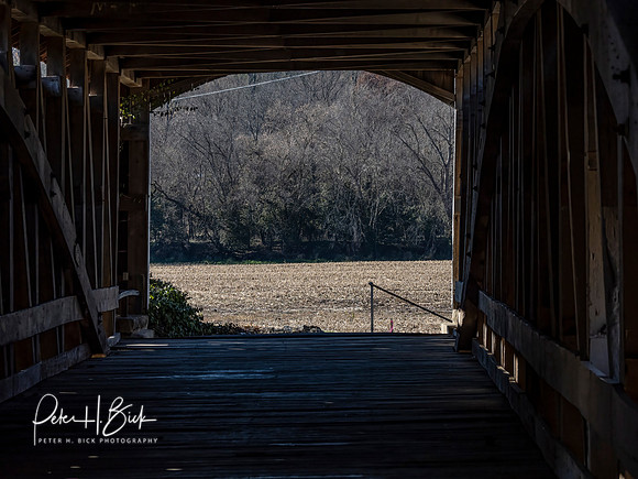 2021 Turkey Run 0198-Edit