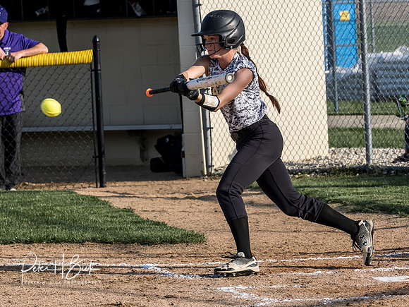 Lapel Softball 2019 0578