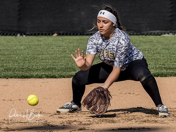 Lapel Softball 2019 0133