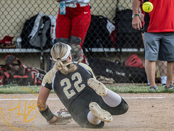 Lapel Softball 2024 0955-Edit