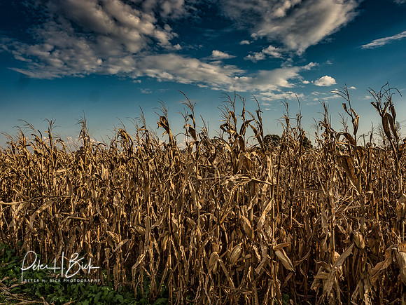 Indiana Countryside 0400-Edit