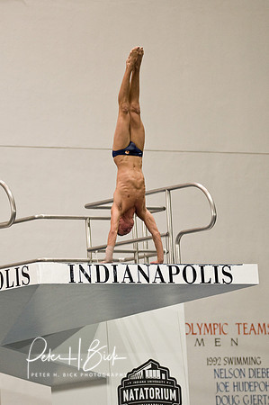 2008 Diving Trials 370