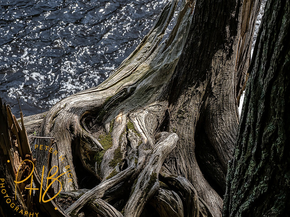 - 2022 UP Trip 0663-Edit