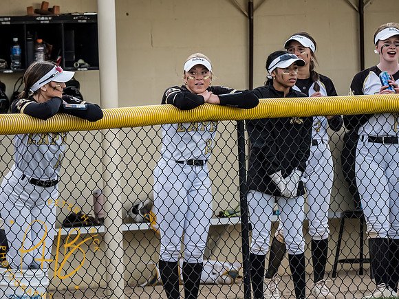 Lapel Softball 2024 0032-Edit