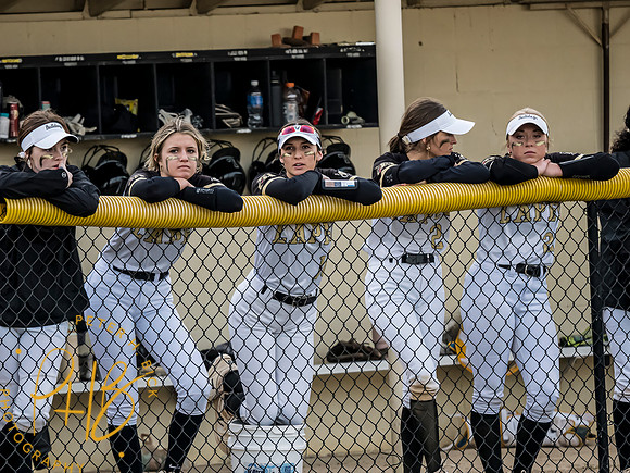 Lapel Softball 2024 0037-Edit