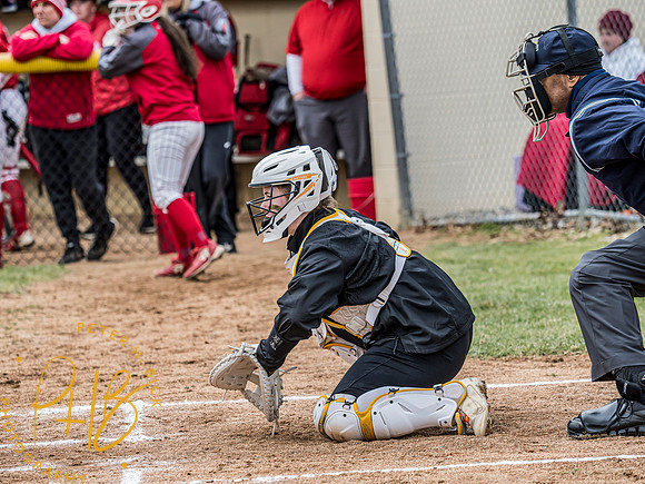 Lapel Softball 2024 0230-Edit