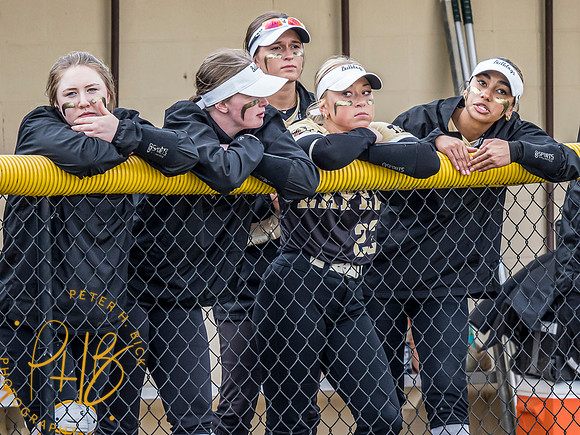 Lapel Softball 2024 0333-Edit