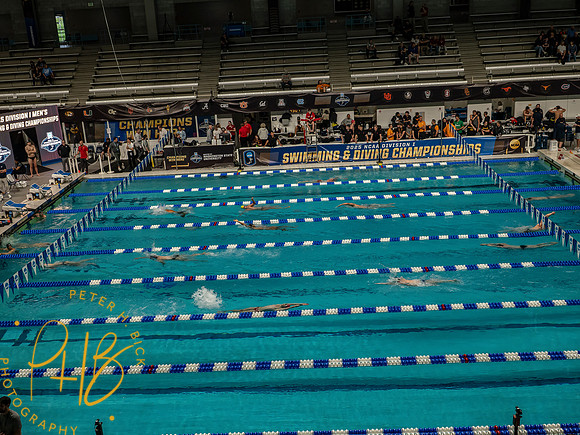 venue- 2025 Men's NCAA S&D 0012-Edit