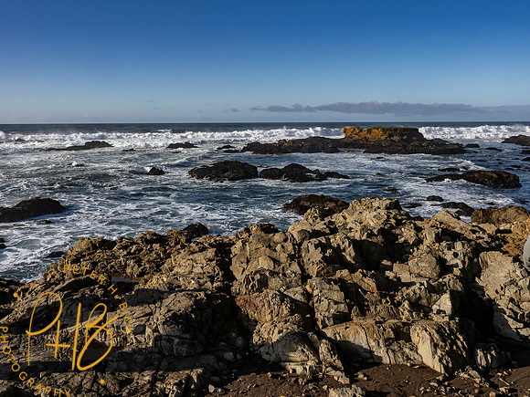 2021 Redwood NP 0026-Edit