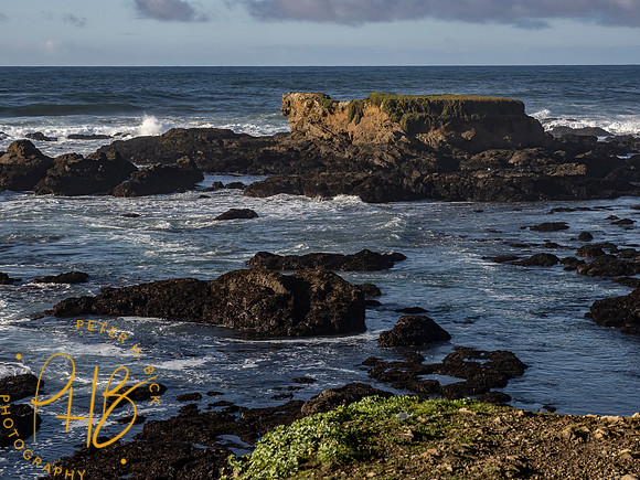 2021 Redwood NP 0040-Edit