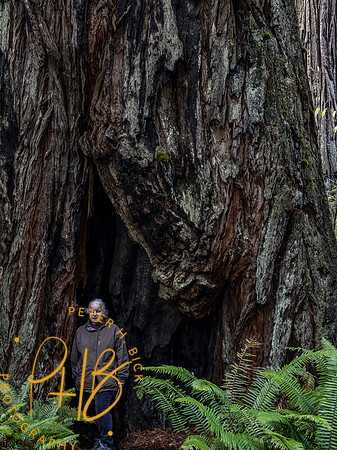 2021 Redwood NP 0352-Edit