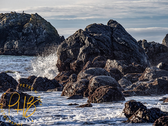 2021 Redwood NP 0448-Edit