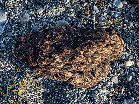 2021 Redwood NP 0518-Edit