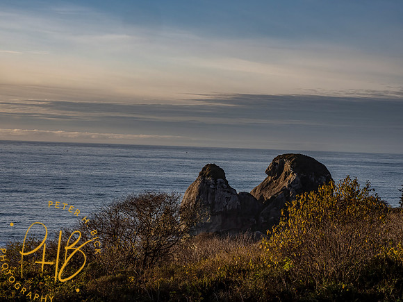 2021 Redwood NP 0528-Edit