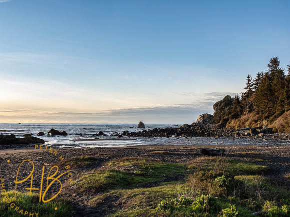 2021 Redwood NP 0540-Edit