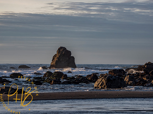 2021 Redwood NP 0570-Edit