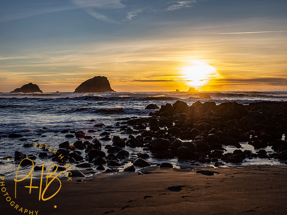 2021 Redwood NP 0614-Edit