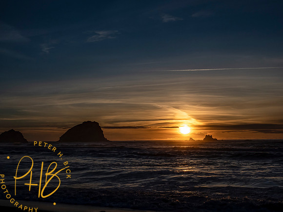 2021 Redwood NP 0650-Edit