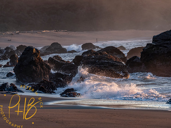 2021 Redwood NP 0664-Edit