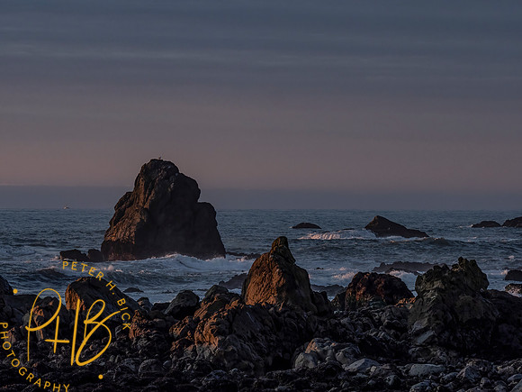 2021 Redwood NP 0693-Edit