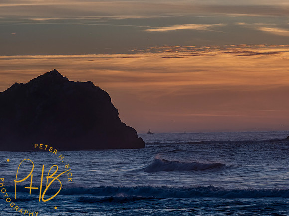 2021 Redwood NP 0696-Edit