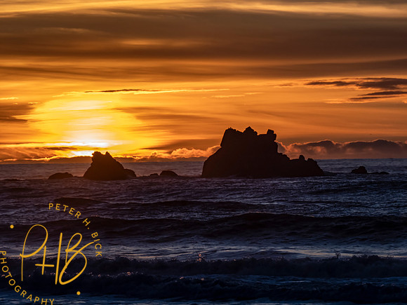 2021 Redwood NP 0714-Edit